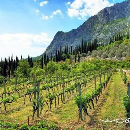 In Gruda With Private Pool * Nartice