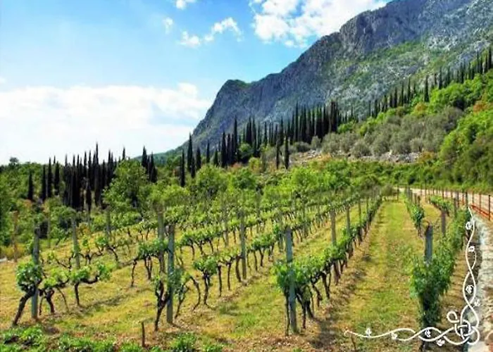 In Gruda With Private Pool * Nartice